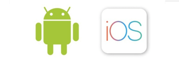 3_0d1a37d4-1def-4709-a5f1-105dcad0fd74 - Nutribal®