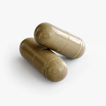 GINKGO & GINSENG - Nutribal®