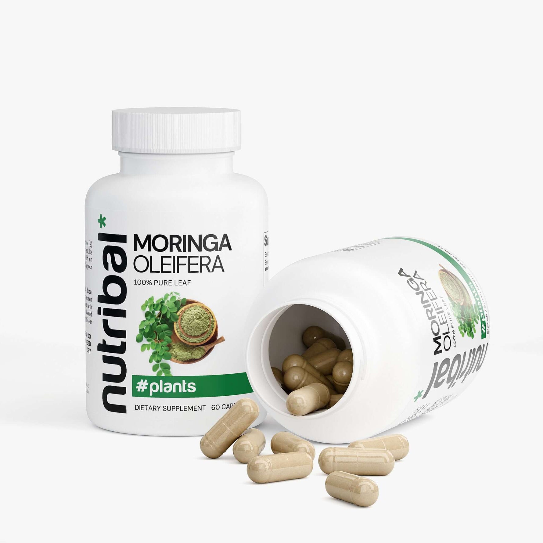 MORINGA OLEIFERA - Nutribal®