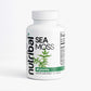 Nutribal® Plants SEA MOSS – Premium Daily Botanical Nutrition & Wellness Support 🌊