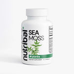 SEA MOSS - Nutribal®