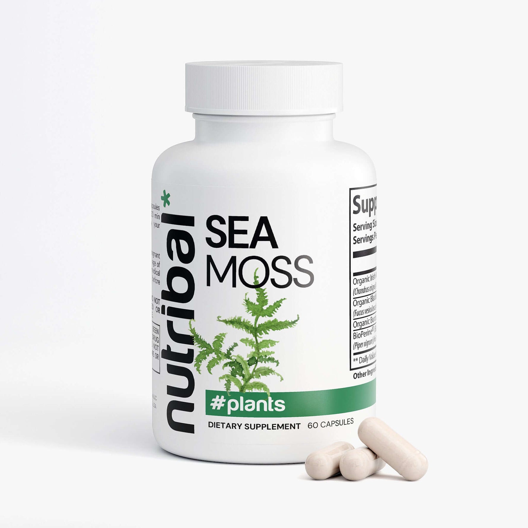SEA MOSS - Nutribal®