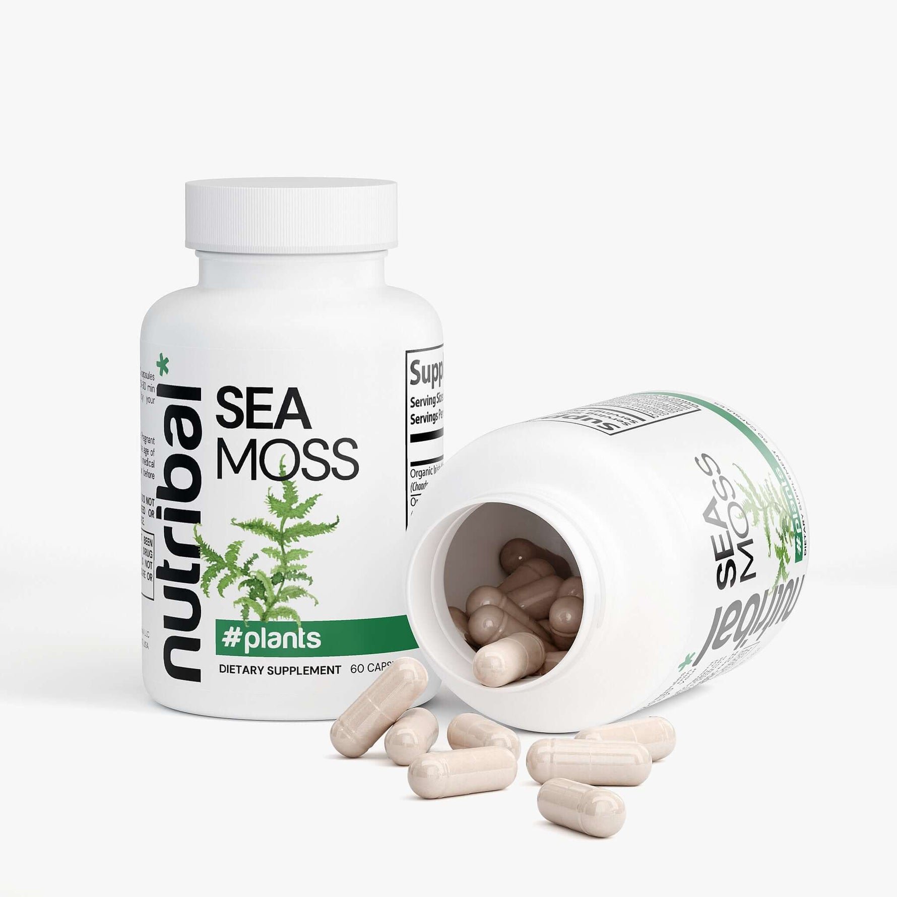 SEA MOSS - Nutribal®